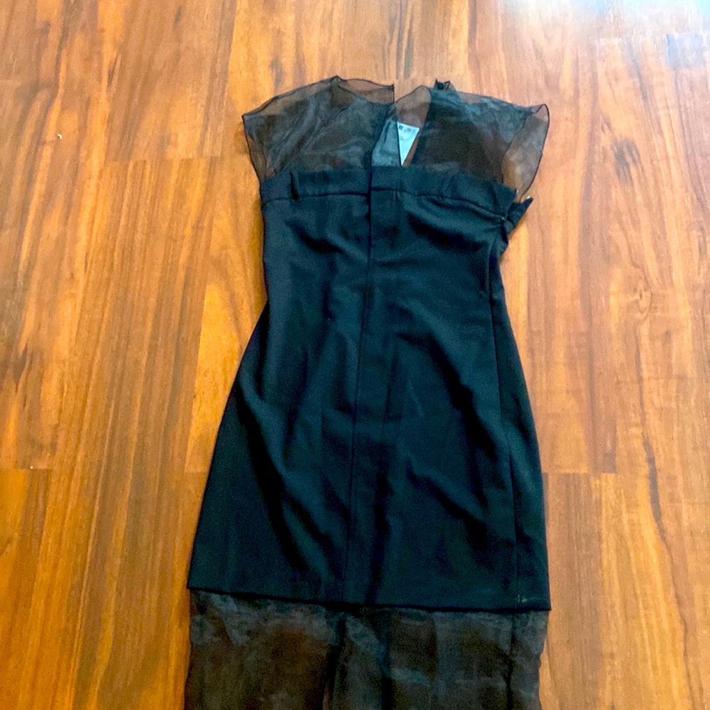 Zara Organza Dress
